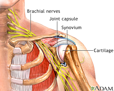  DR.MITTAL CLINIC 