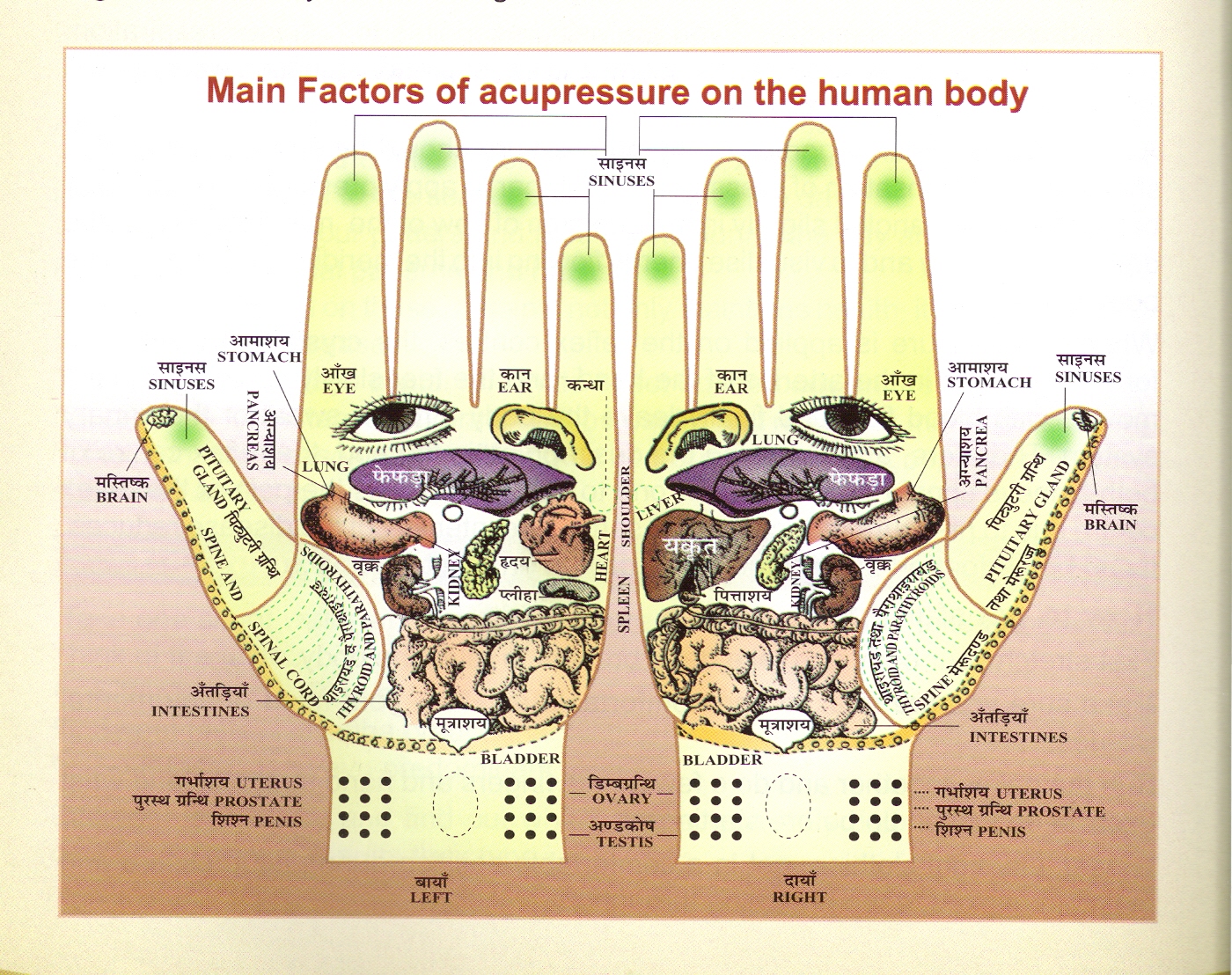 ACUPRESSURE CENTRE 