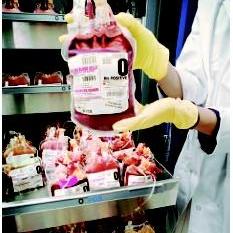 BLOOD BANK ORGANIZATION      