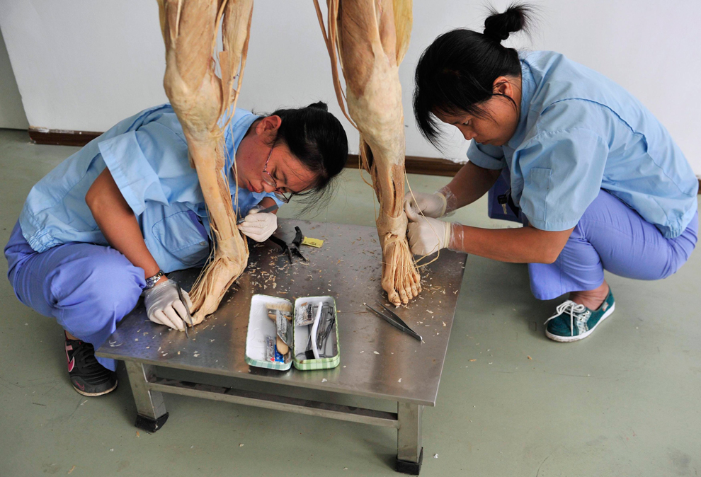 24X7 MORTUARY SERVICE  