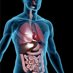 DIABETIES & THYRIOD CLINIC     