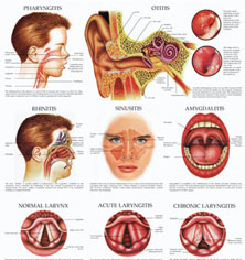 MIDHAT HEALTH CARE GROUP 