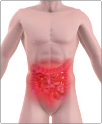 ENDOSCOPY CENTER & CLINIC 